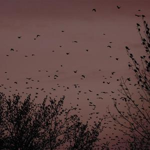 艳星Ⅴide0S极品HD
