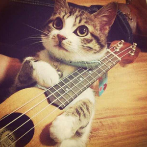 艳星Ⅴide0S极品HD
